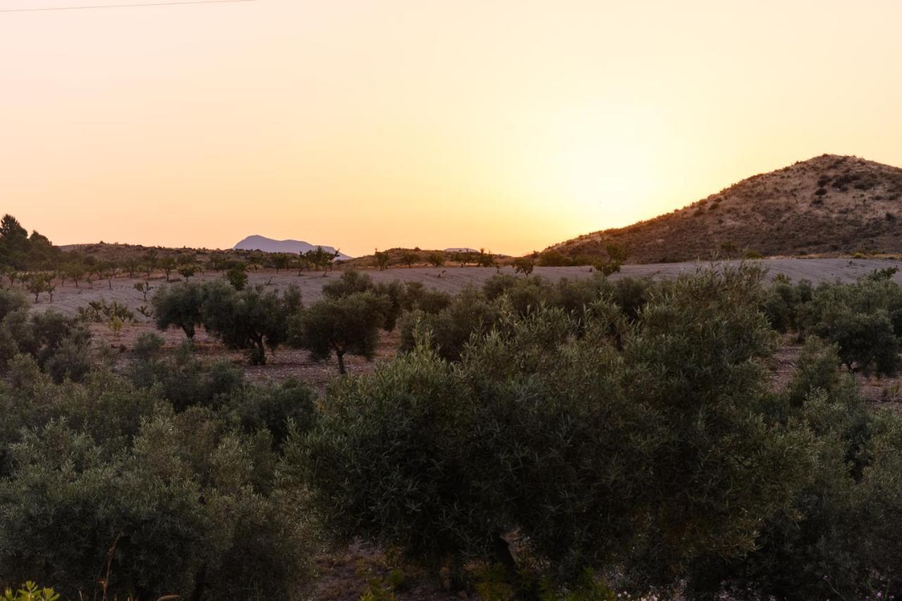 Penzion Complejo Rural Sol De Taberno Exteriér fotografie