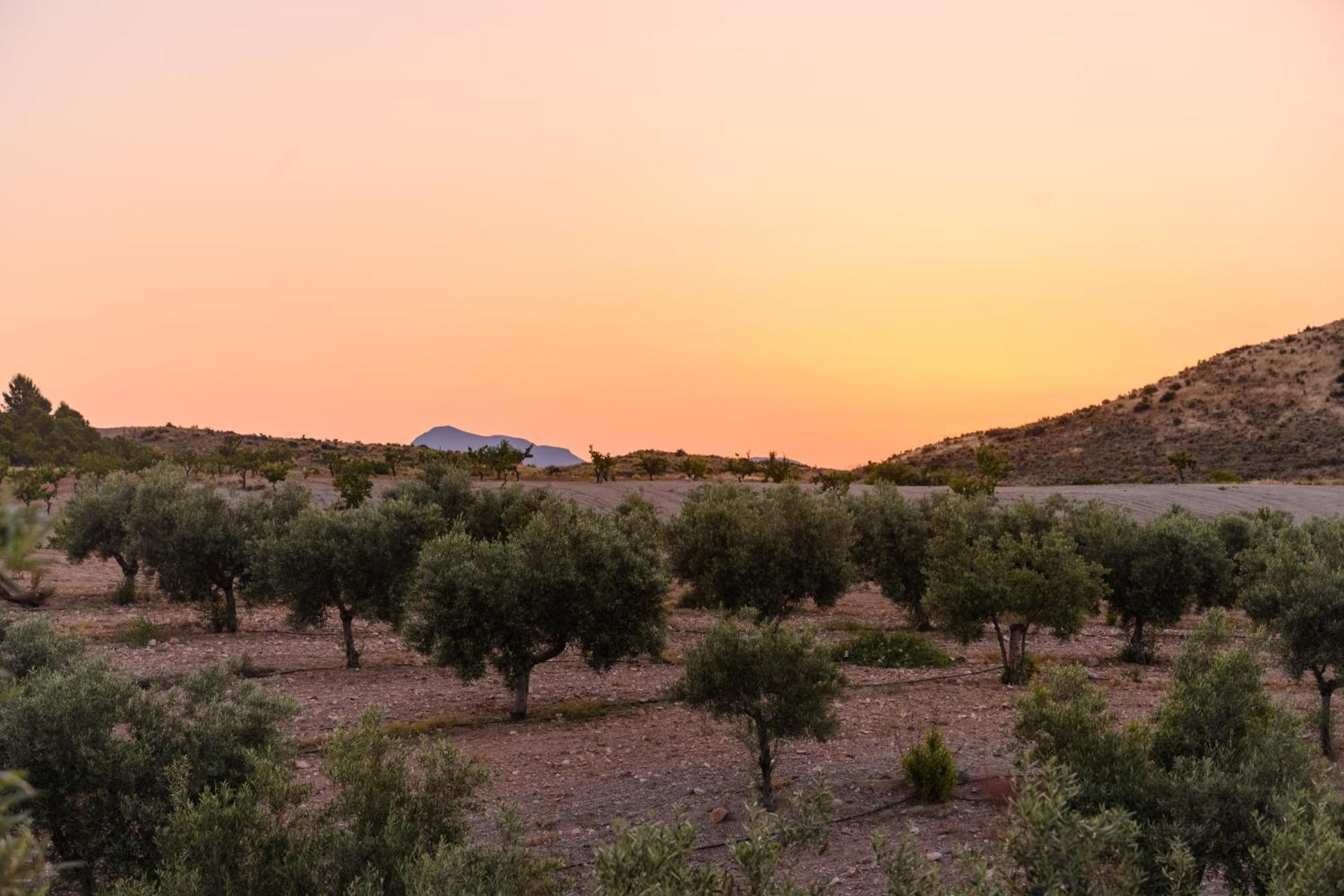 Penzion Complejo Rural Sol De Taberno Exteriér fotografie